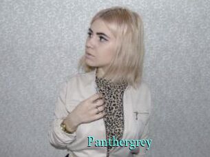 Panthergrey