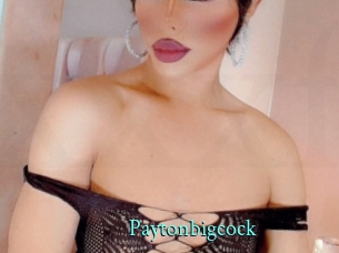 Paytonbigcock