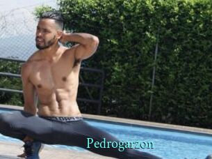 Pedrogarzon
