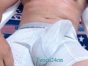 Penesi24cm