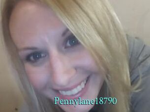Pennylane18790