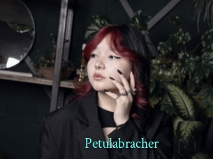 Petulabracher