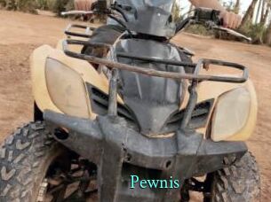 Pewnis
