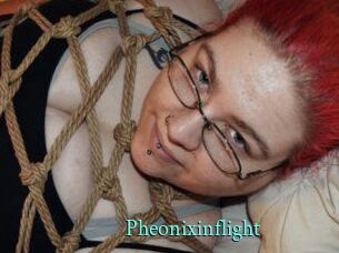 Pheonixinflight