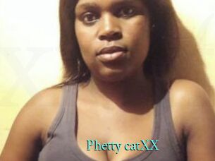 Phetty_catXX