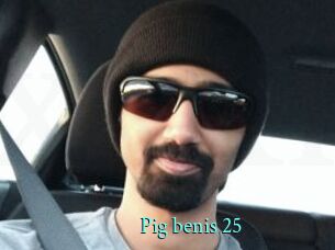 Pig_benis_25