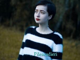 Pileacadieri