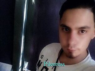 Pileeross