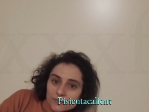 Pisicutacalient