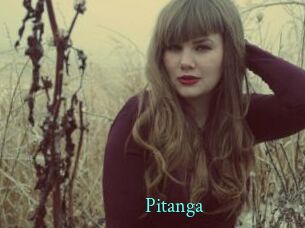 Pitanga