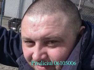 Pituliciul-06105006