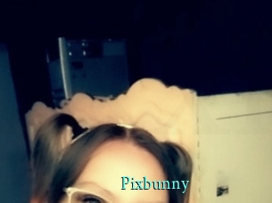 Pixbunny