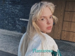 Plantarosa