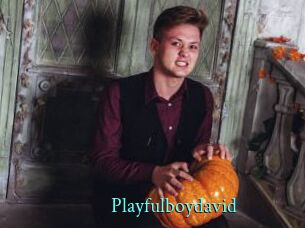 Playfulboydavid