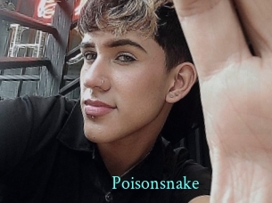 Poisonsnake