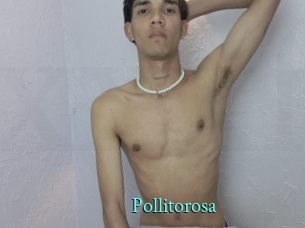 Pollitorosa