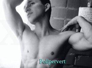 Pollpervert