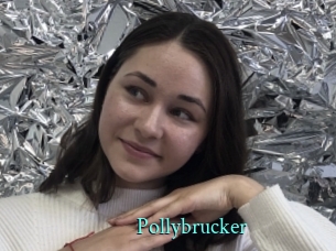 Pollybrucker