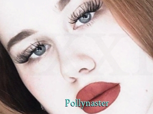 Pollynaster