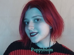 Poppyblom