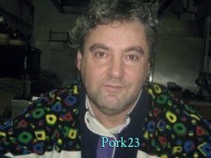 pork23 xxx Fantasy Land