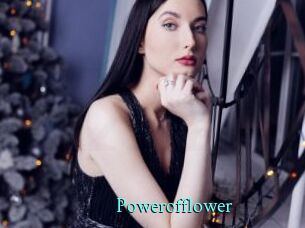 Powerofflower
