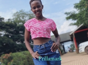 Prillamark