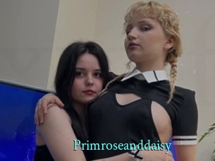 Primroseanddaisy