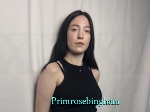 Primrosebingham