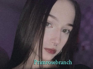 Primrosebranch