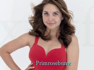 Primrosebunte