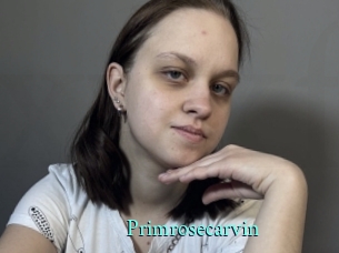 Primrosecarvin