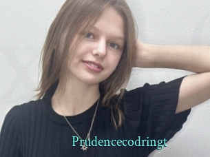 Prudencecodringt