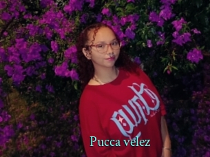 Pucca_velez