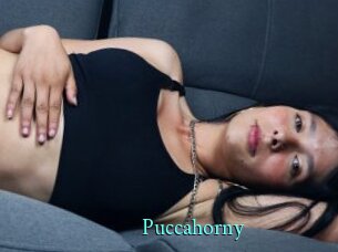 Puccahorny