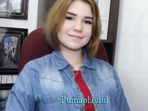 Pumaplayful