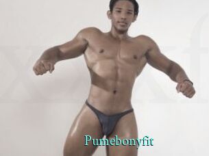 Pumebonyfit