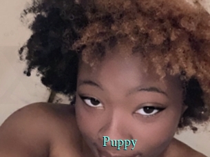 Puppy