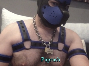 Puprush
