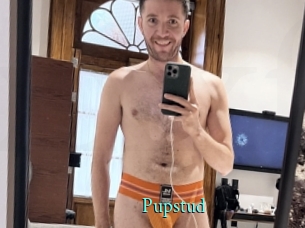 Pupstud