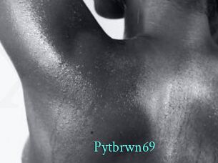 Pytbrwn69
