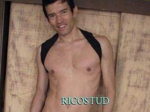 RICOSTUD xxx Fantasy Land