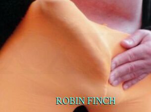 ROBIN_FINCH