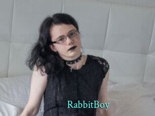 RabbitBoy