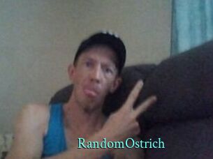 RandomOstrich