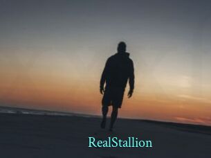 RealStallion