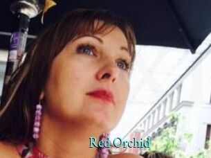 Red_Orchid