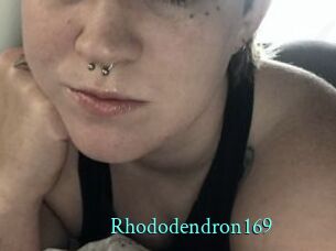 Rhododendron169