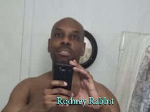 Rodney_Rabbit