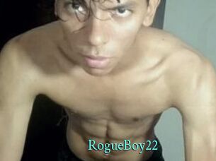 RogueBoy22